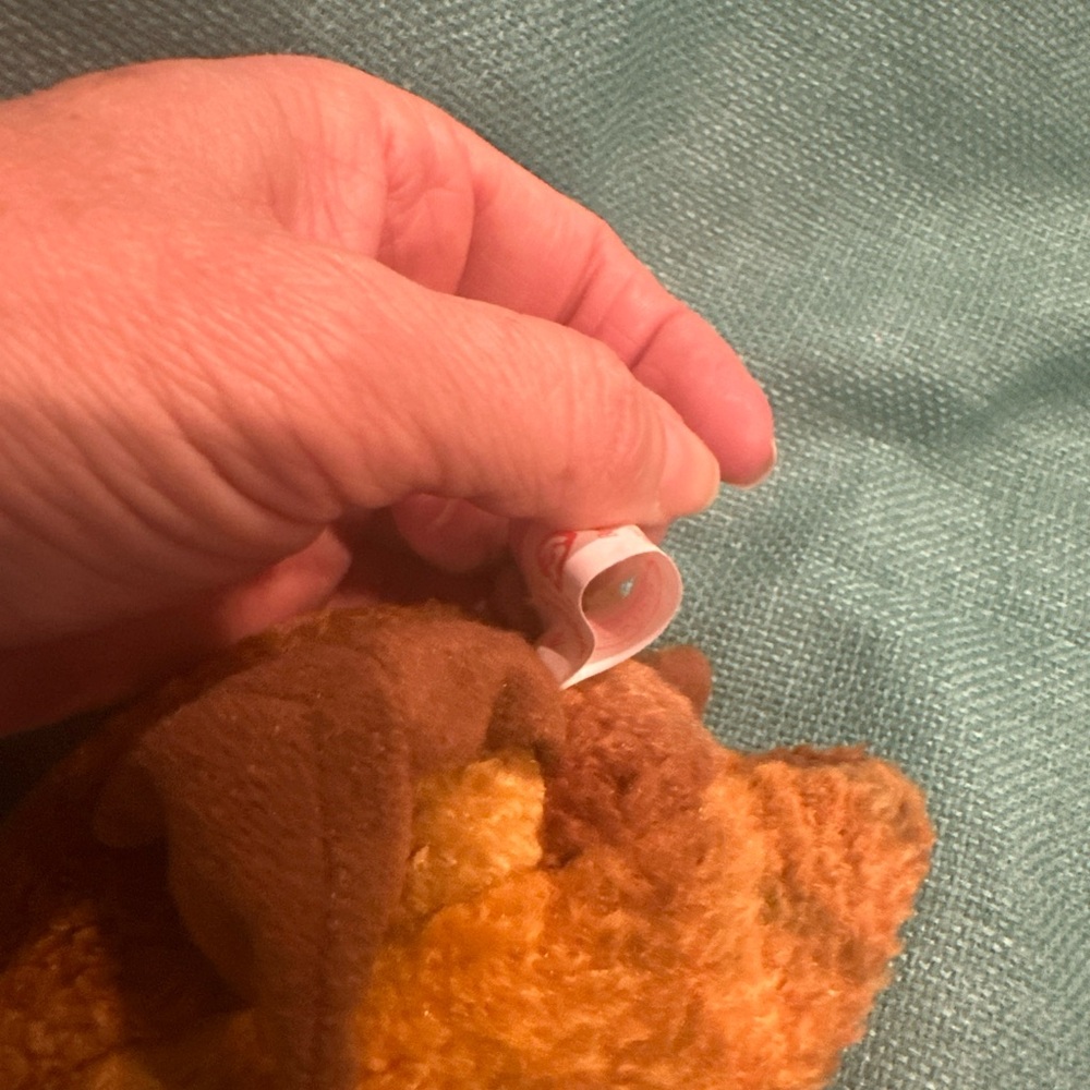 Beak Beanie Baby!! Rare w/errors - Picture 9 of 9